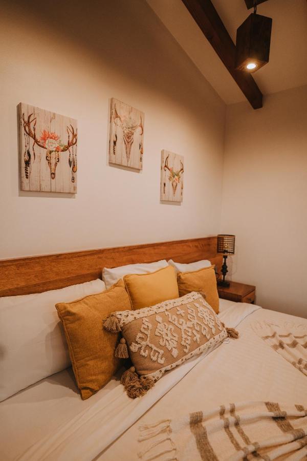 Oasis 444 Hotel San Marcos  Ngoại thất bức ảnh